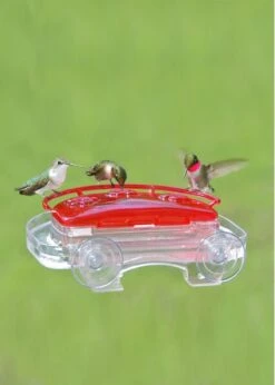 Window Hummingbird Feeder