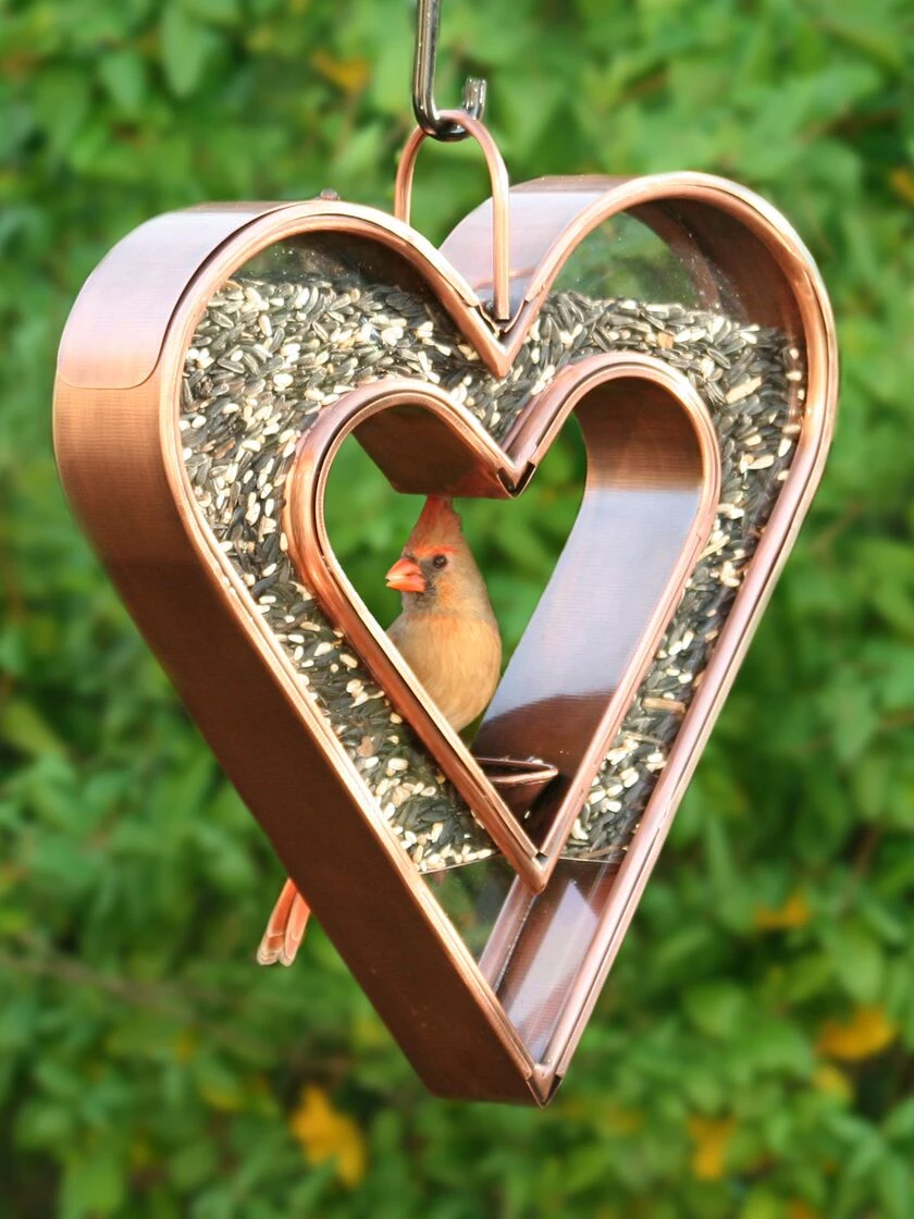 Heart Fly-Thru™ Bird Feeder - Image 4