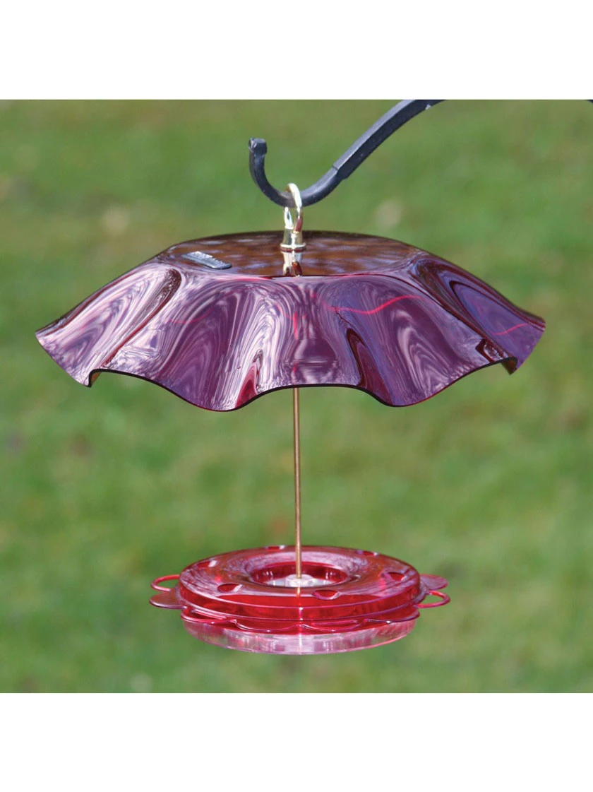 Birds Choice™ Hummingbird Nectar Feeder With Weather Guard Kit - Image 3