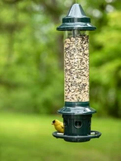 Brome ® Squirrel Buster Plus⢠Bird Feeder