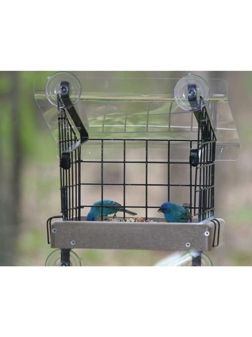 Birds Choice Window Mount Bird Feeder Kits - Image 4