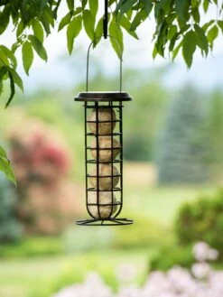 Suet Ball & Feeder Combo Set