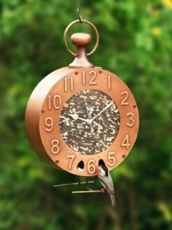 Time Fly’s Bird Feeder