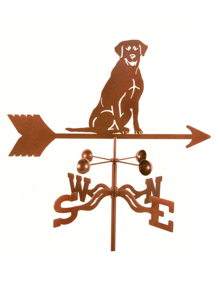 EZ Vane ® Lab Sitting Weathervane