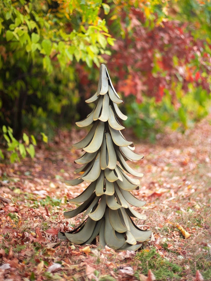 Desert Steel Blue Atlas Cedar - Image 7